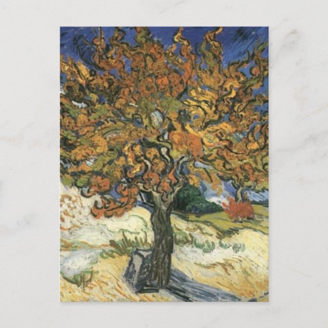 Mulberry Tree by van Gogh Postcard (Front)