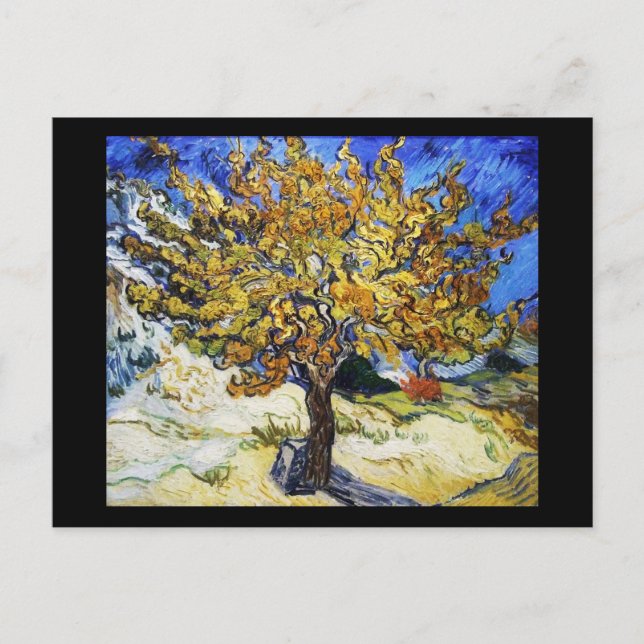 Mulberry Tree Postcard (Front)