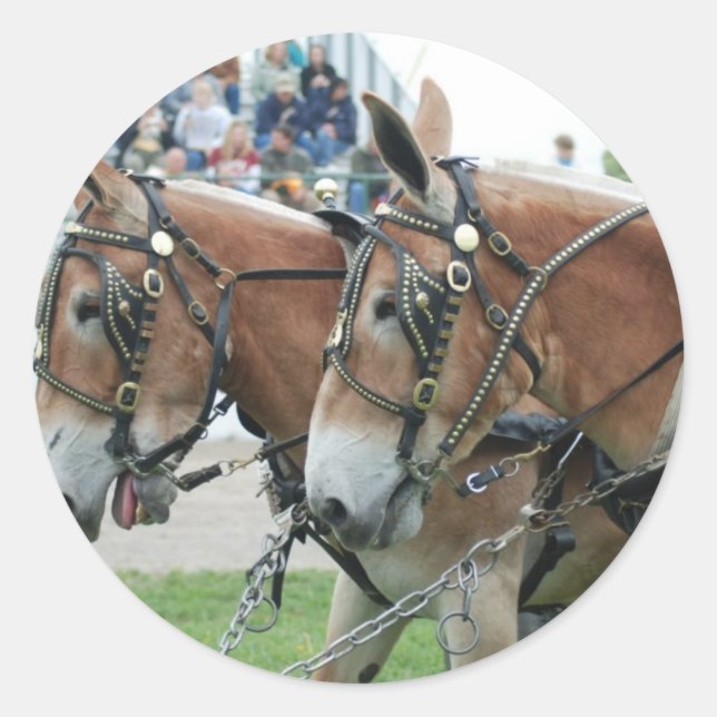 mule days classic round sticker (Front)