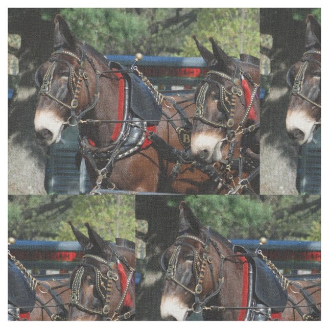 mule days fabric (Close Up)