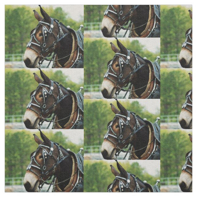 mule days fabric (Swatch)