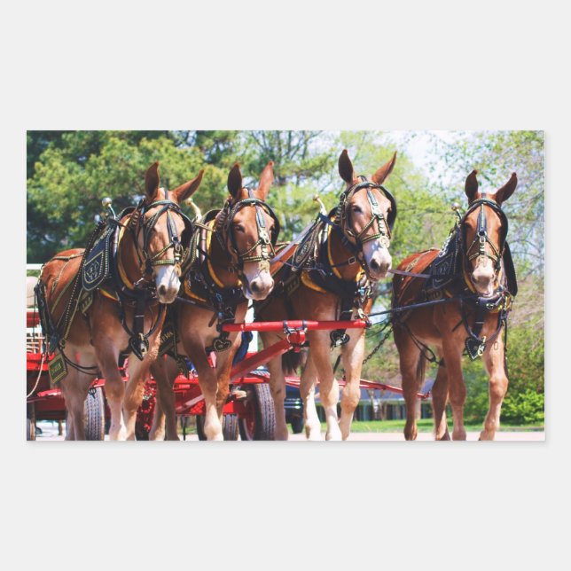 mule days rectangular sticker (Front)