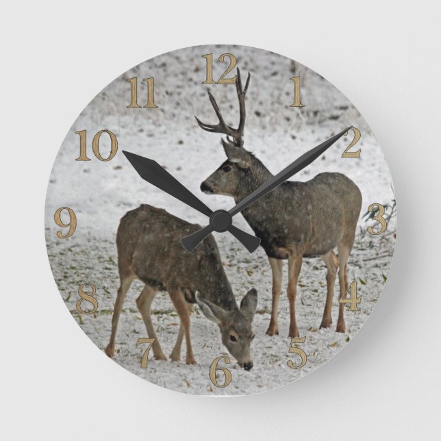 Mule debuck and doe round clock (Front)