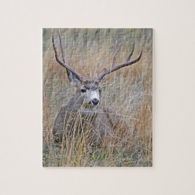 Mule deer 15 jigsaw puzzle (Vertical)