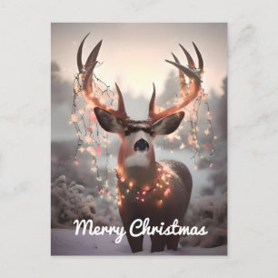 Mule Deer and Christmas Lights Postcard