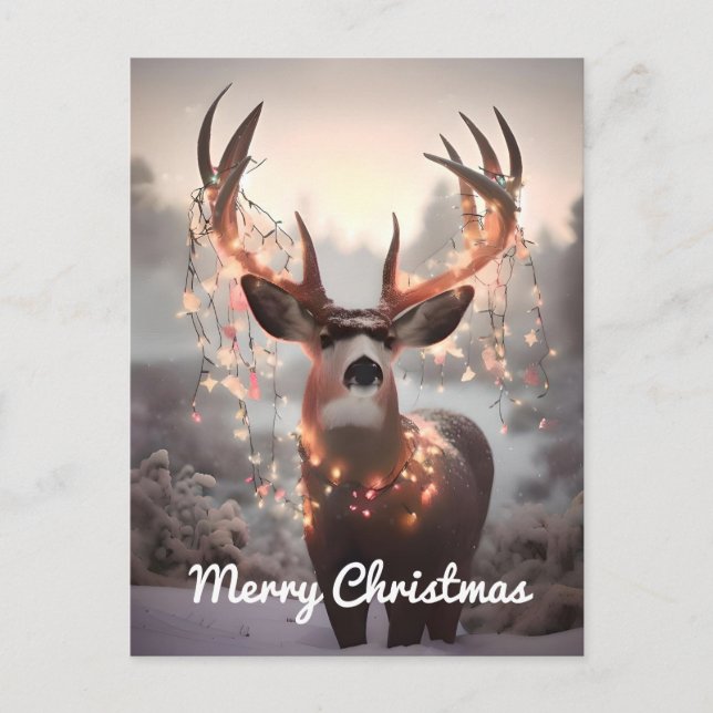 Mule Deer and Christmas Lights Postcard (Front)