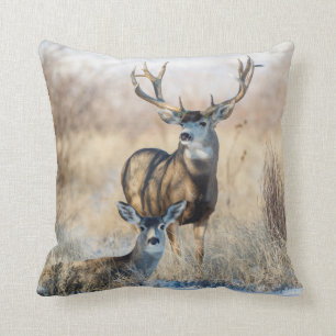 Mule Deer Buck and Doe Cushion