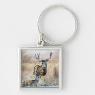 Mule Deer Buck and Doe Key Ring
