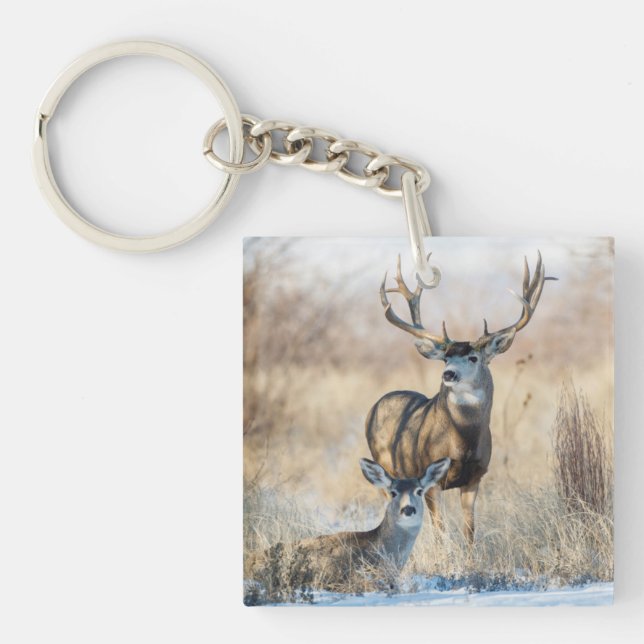 Mule Deer Buck and Doe Key Ring (Front)