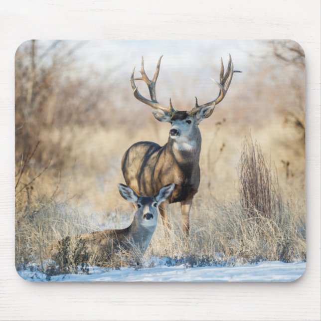 Mule Deer Buck and Doe Mouse Pad (Front)