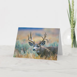 Mule Deer Buck Grand Teton National Park Wyoming Card