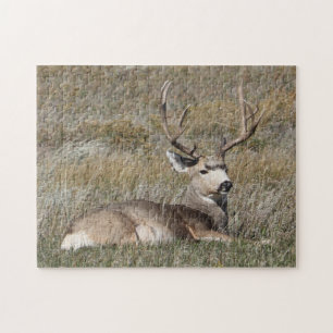 Mule Deer Buck in Early Fall Grass Jigsaw Puzzle