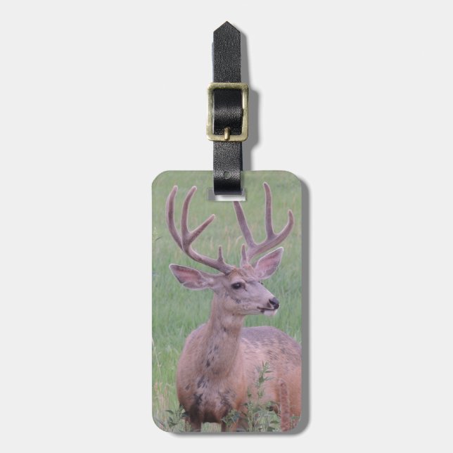 Mule Deer Buck Luggage Tag (Front Vertical)