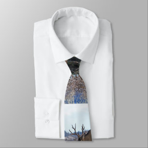 Mule deer bucks 2 tie