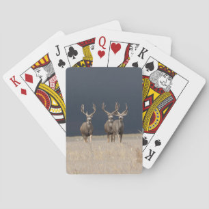 Mule Deer Bucks Bicycle Playing Cards