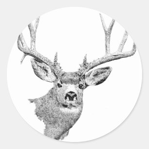 Mule Deer Classic Round Sticker
