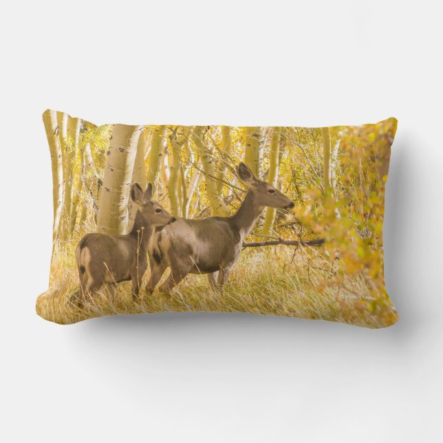 Mule Deer Doe and Fawn in Fall Meadow Lumbar Cushion (Front)