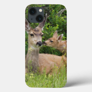 Mule Deer Doe with Fawn iPhone 13 Case