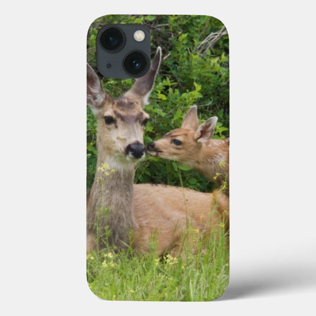 Mule Deer Doe with Fawn Case-Mate iPhone Case (Back)