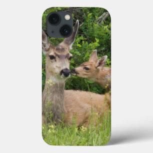 Mule Deer Doe with Fawn iPhone 13 Case