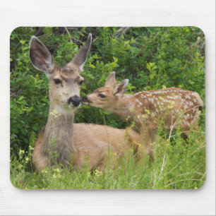 Mule Deer Doe with Fawn Mouse Pad