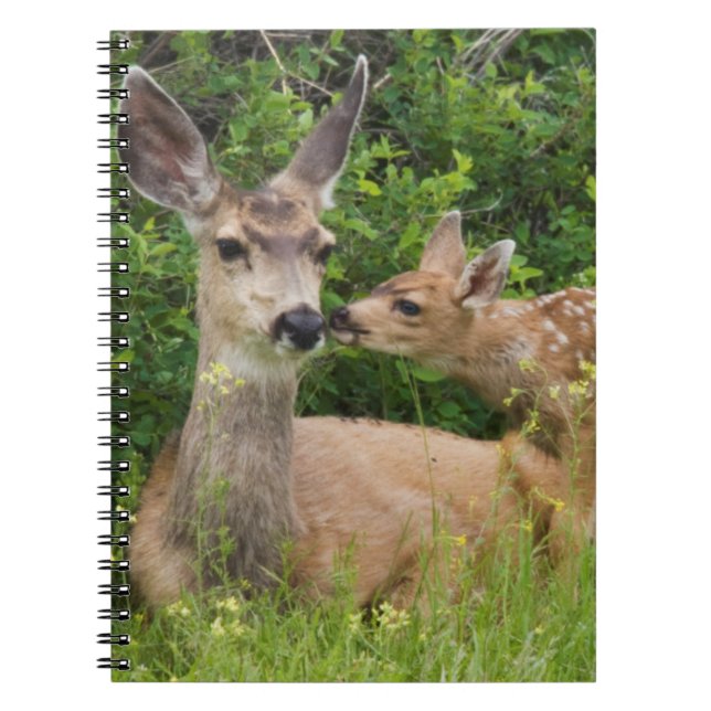 Mule Deer Doe with Fawn Notebook (Front)