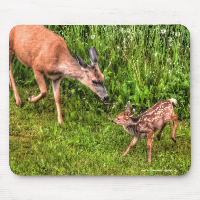 Mule Deer Fawn & Mother Wildlife Photo Mouse Pad (Front)