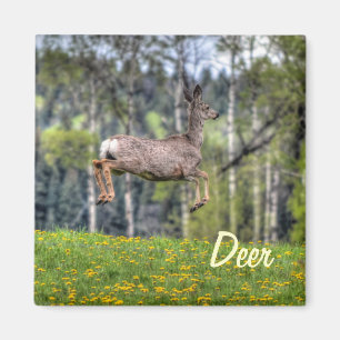 Mule Deer & Field Wildlife Animal Design Magnet
