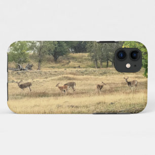Mule Deer in a Field, Joseph, Oregon iPhone 11 Case
