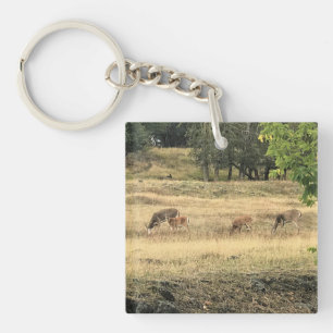 Mule Deer in a Field, Joseph, Oregon Key Ring