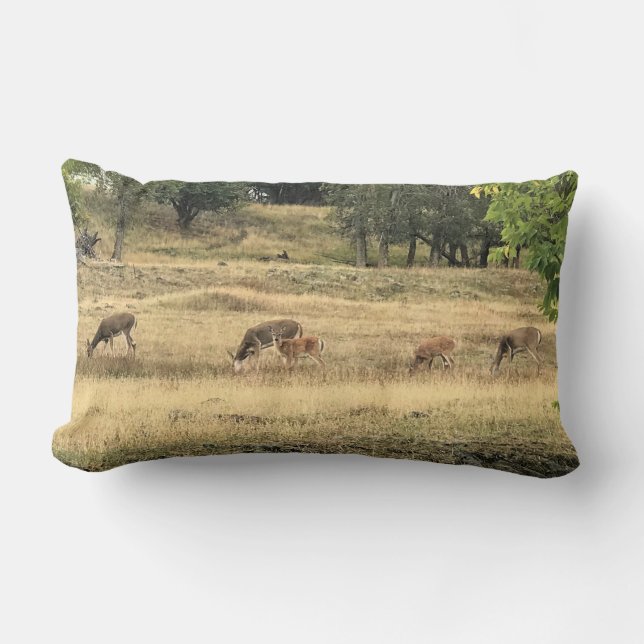 Mule Deer in a Field, Joseph, Oregon Lumbar Cushion (Front)