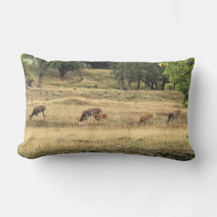 Mule Deer in a Field Lumbar Cushion