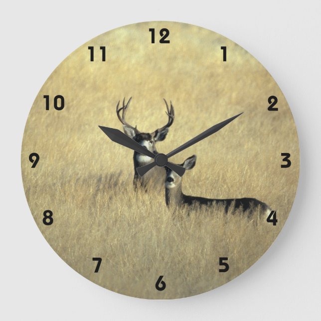 Mule Deer in California Wall Clock (Front)