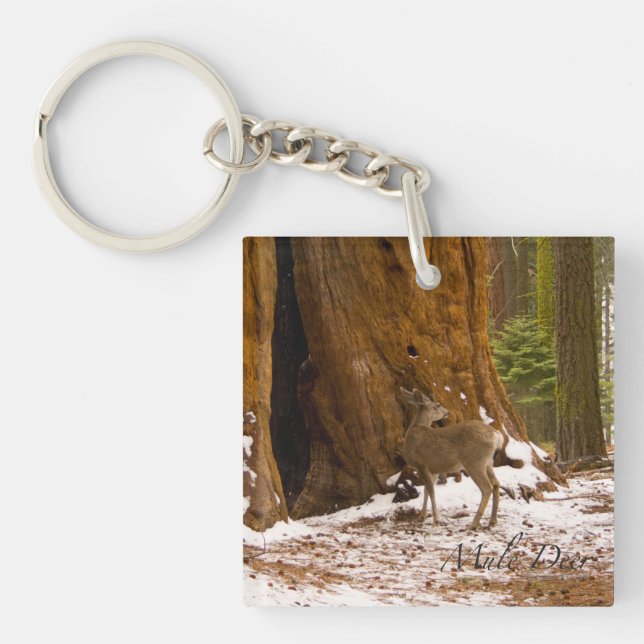 Mule Deer Key Ring (Front)