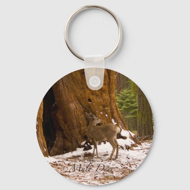 Mule Deer Key Ring (Front)