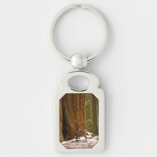 Mule Deer Key Ring (Front)