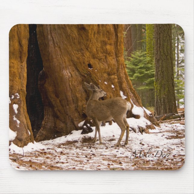 Mule Deer Mouse Pad (Front)