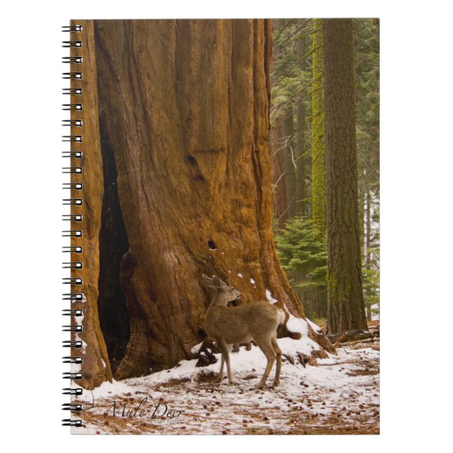 Mule Deer Notebook (Front)