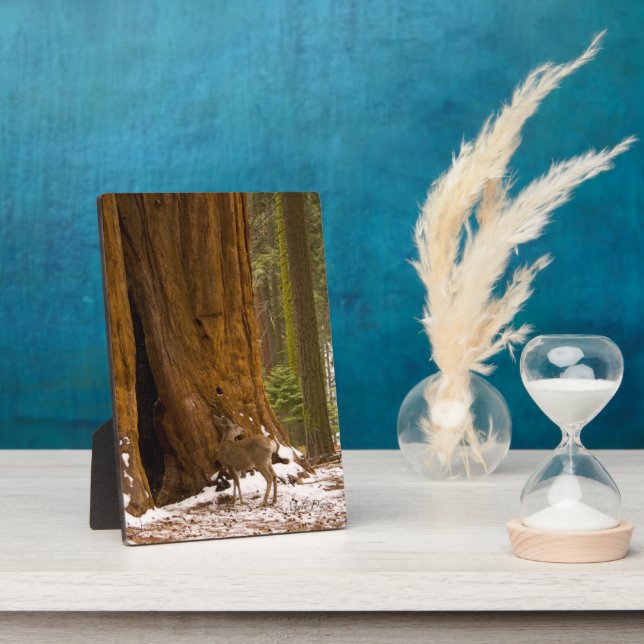 Mule Deer Plaque (Side)