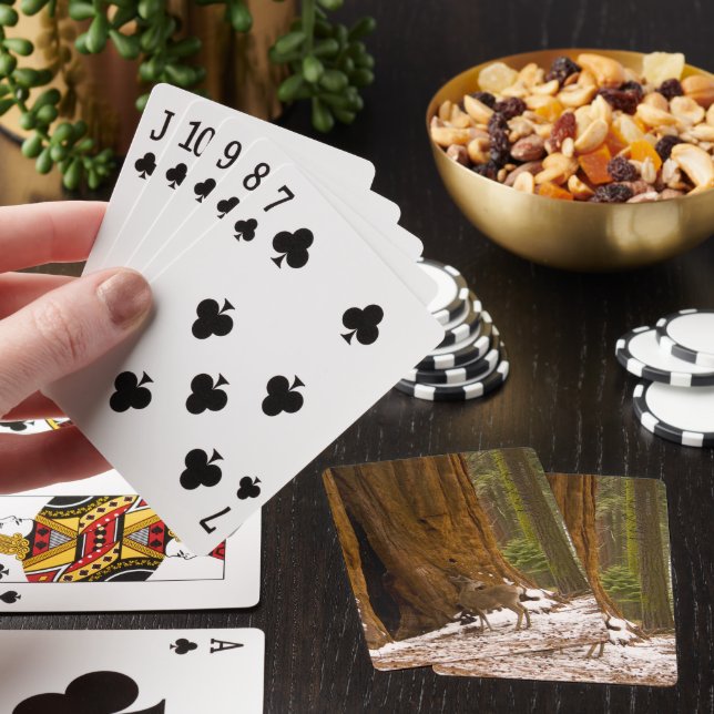 Mule Deer Playing Cards (In Situ)