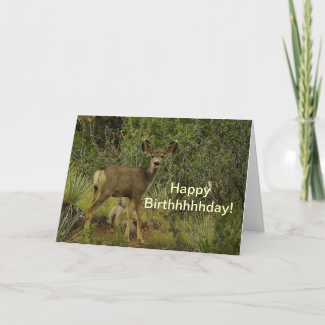 Mule Deer Raspberry Birthday Card (Front)