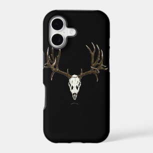 Mule deer skull