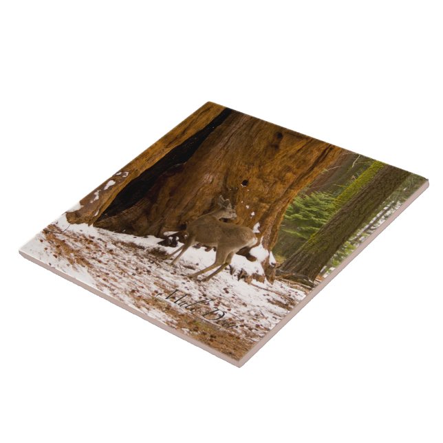 Mule Deer Tile (Side)