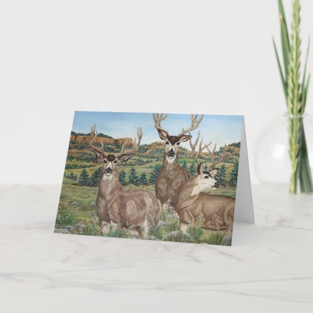 Mule Deer Wildlife Art Card (Front)
