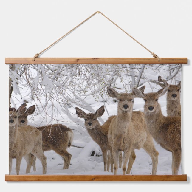 Mule Deer Wyoming Hanging Tapestry (Front)