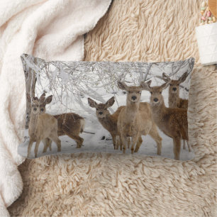 Mule Deer Wyoming Lumbar Cushion