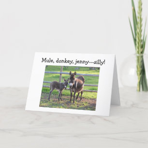 MULE,DONKEY,JENNIE-SAD AND BLUE WITHOUT YOU CARD