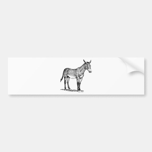 Mule Drawing, Stubborn Bumper Sticker (Front)