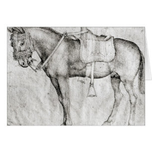 Mule, from the Vallardi Album