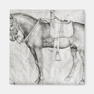 Mule, from the Vallardi Album Magnet